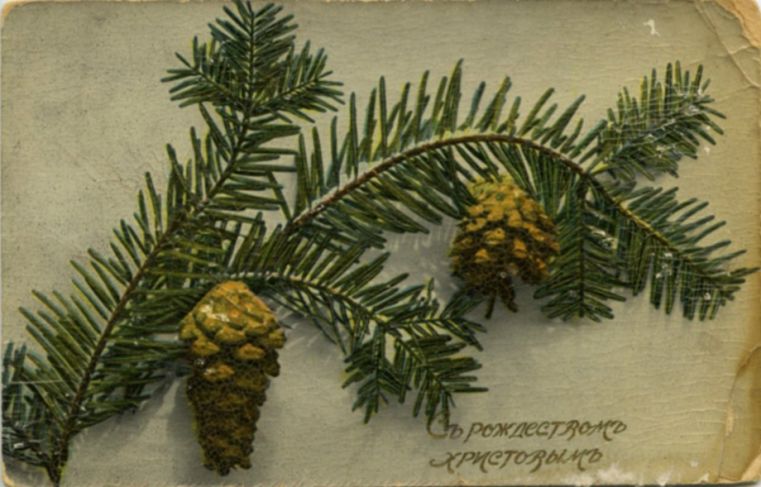 Рождественская и новогодняя открытка 1907-2012