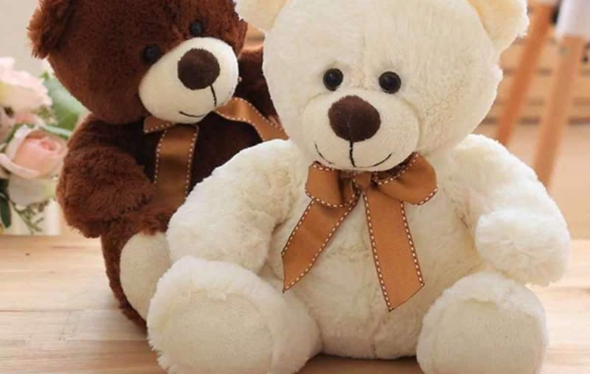 24 Teddy Bear