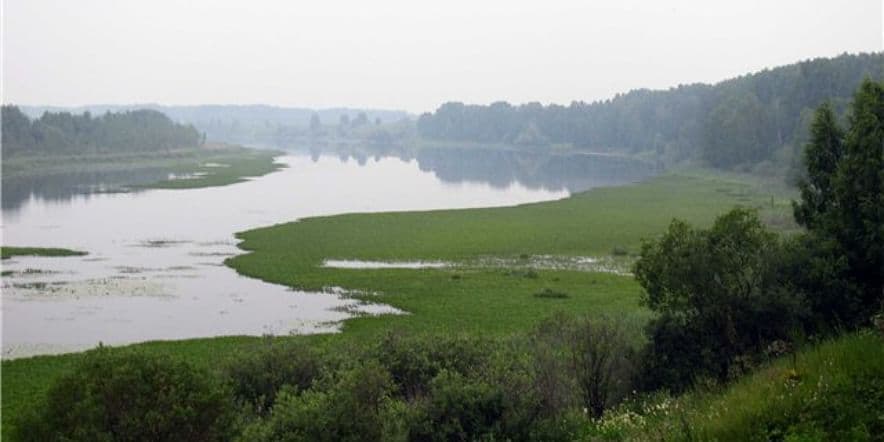 Основное изображение обзора объекта "Городище Чудская Гора в Омской обл."