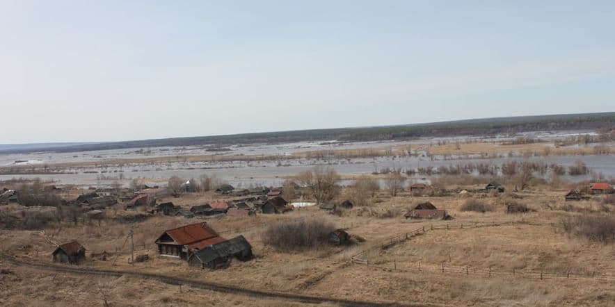 Основное изображение обзора объекта "Пасхальная игра «в орла» в Ульяновском Присурье"