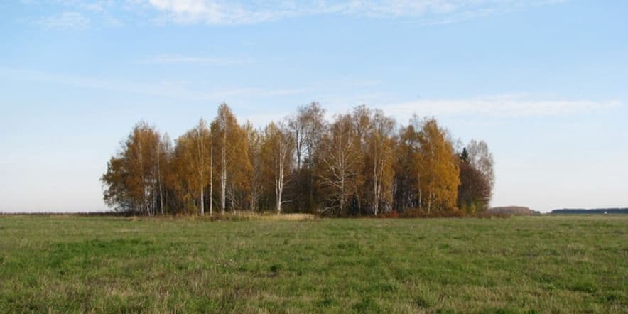 Основное изображение обзора объекта "Марийские священные рощи в Республике Марий Эл"