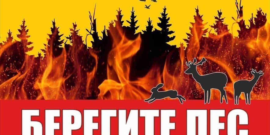 Основное изображение для события Берегите лес от огня
