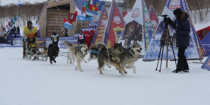 Основное изображение для события Временная выставка «Путь каюра»