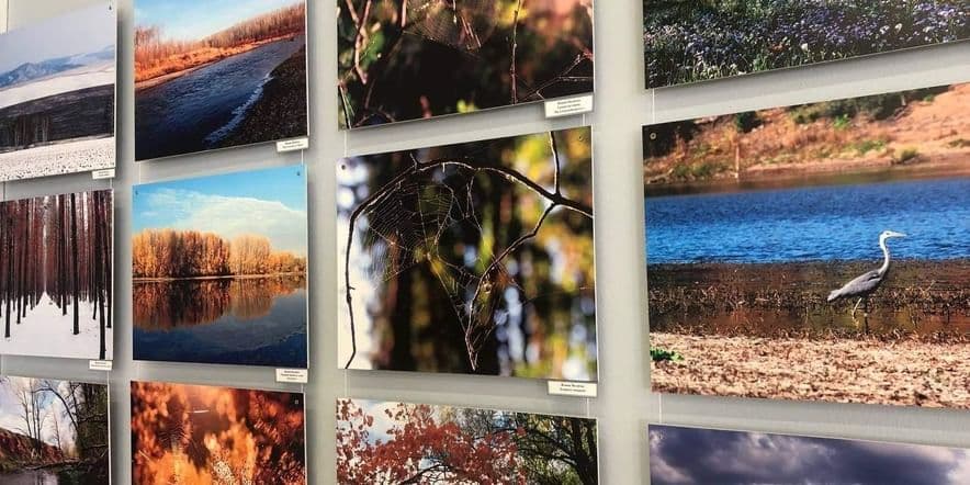 Основное изображение для события Фотовыставка «В объятиях степного ветра»