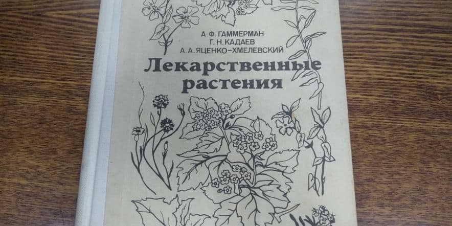 Основное изображение для события «Думайте сами, решайте сами»-час здоровья.