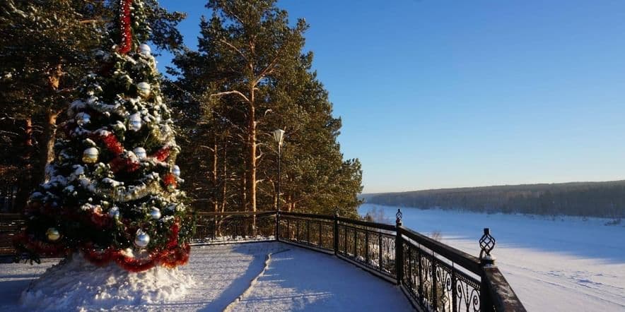 Основное изображение для события Программа «Новогодние приключения Елки»