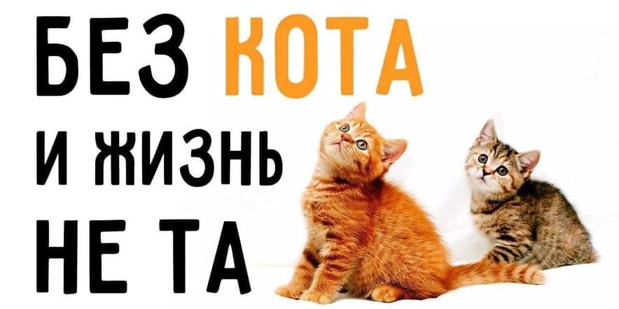 Основное изображение для события Онлайн фотовыставка «Без кота и жизнь не та»