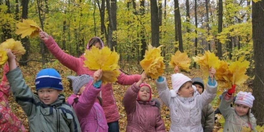 Основное изображение для события «Золотая осень в моей деревне». Экскурсия в лес