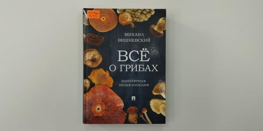 Основное изображение для события Информационный час «Грибное царство»