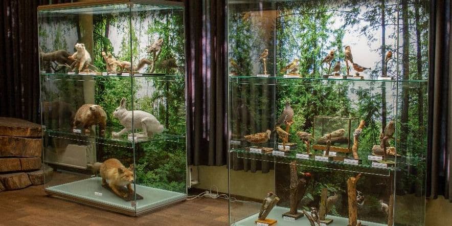 Основное изображение для события Выставка «Удивительный мир животных. Особо охраняемые природные территории Республики Марий Эл»