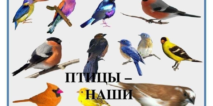 Основное изображение для события «Покормите птиц зимой!»