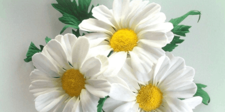 Основное изображение для события «Ромашки нежный лепесток» — мастер-класс по изготовлению цветка