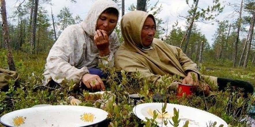 Основное изображение для события Выставка набор закладок (по творчеству Ю.Вэлла) «Лесные боли»