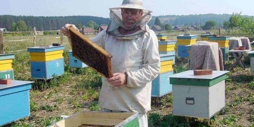 Основное изображение для события Мастер-класс «Пчелиное мастерство: основы пчеловодства и практические навыки»