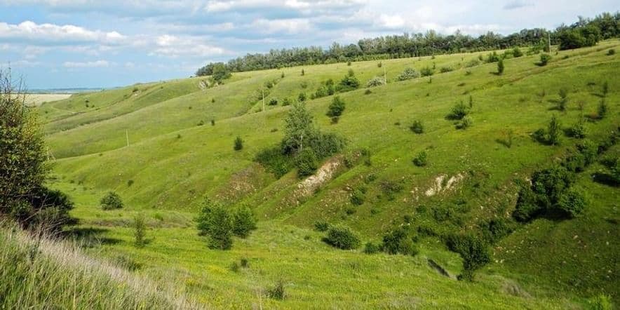 Основное изображение для события Квиз «Широка страна моя родная»