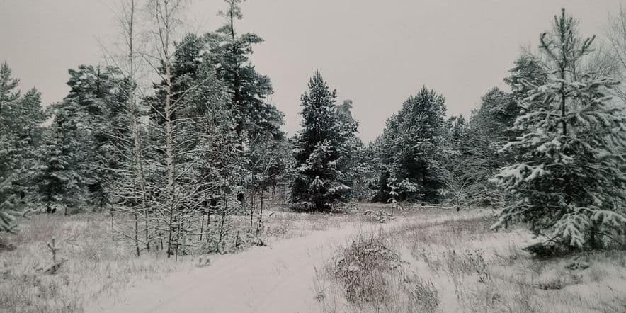 Основное изображение для события Открытие фотовыставки «Метелям посвящается…»