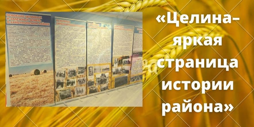 Основное изображение для события «Целина–яркая страница истории района»