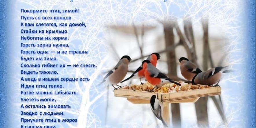 Основное изображение для события «Покормите птиц зимой!»