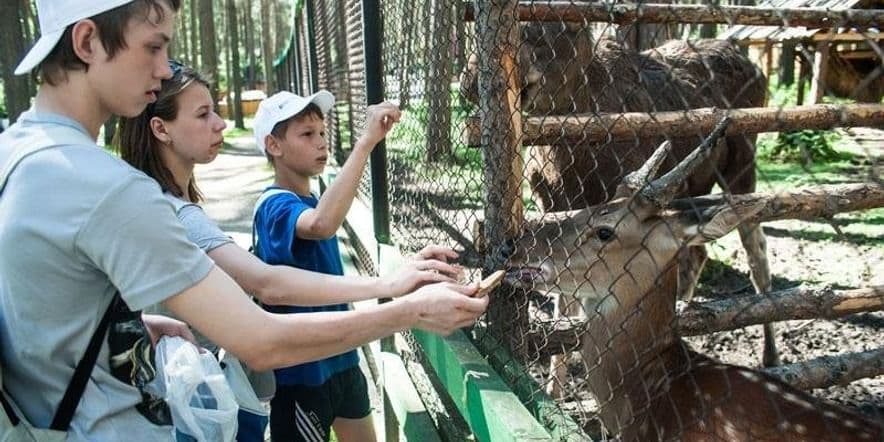 Основное изображение для события Зоологическая экскурсия «В гости к удивительным животным»