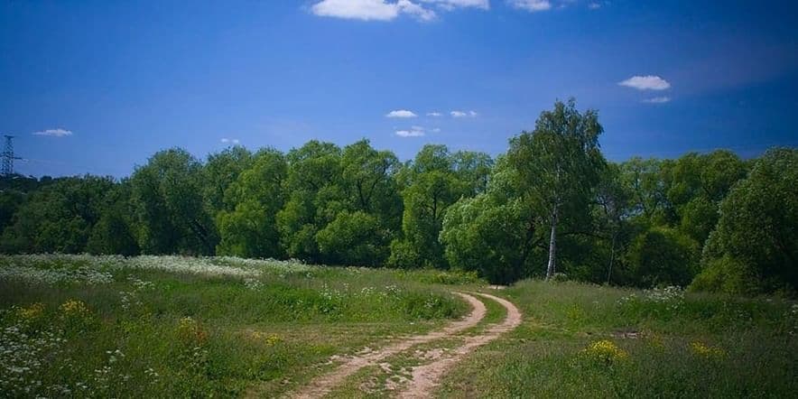 Основное изображение для события Мы любим родной край