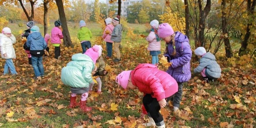 Основное изображение для события Экскурсия на природу «Удивительный мир природы»