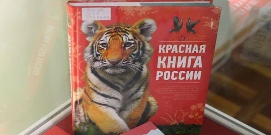 Основное изображение для события Экологическое путешествие «Красная книга и ее обитатели»