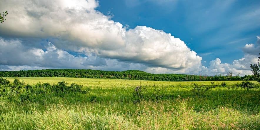 Основное изображение для события Программа «Шагаю по краю»