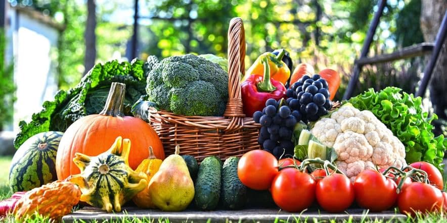 Основное изображение для события Информационный час «Мой любимый огород — здоровье и доход моей семьи».