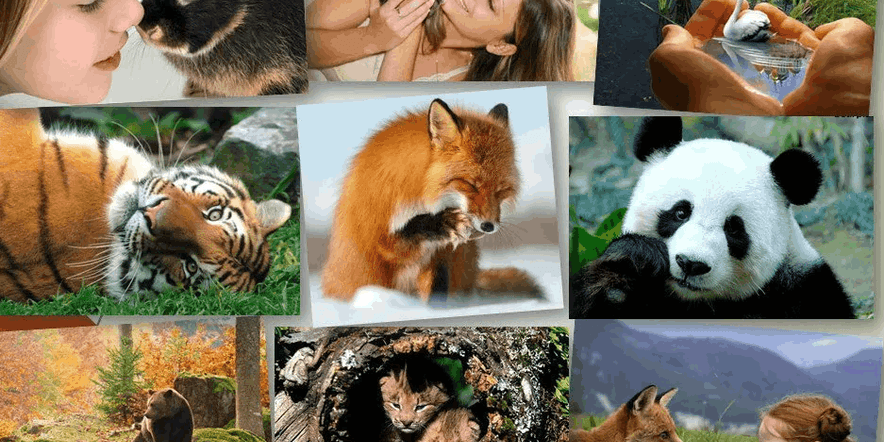 Основное изображение для события Час экологических знаний «С любовью к животным»