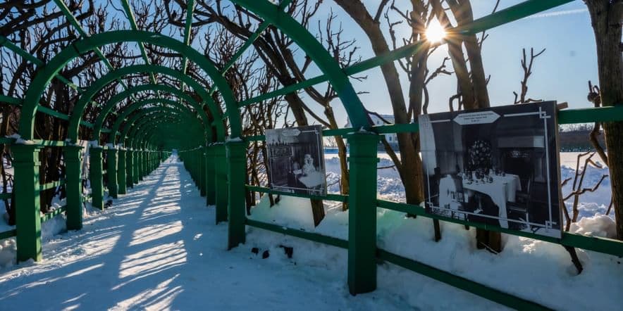 Основное изображение для события Мастер-класс «Новогодняя галерея»