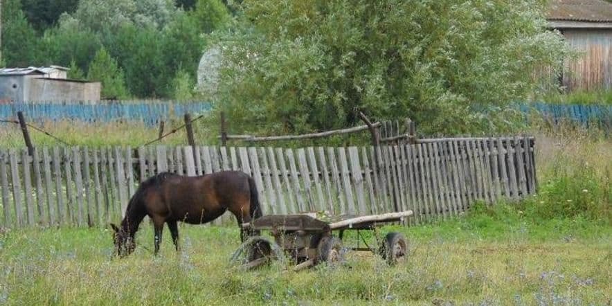 Основное изображение для события Фотовыставка «Всемирный день сельскохозяйственных животных»