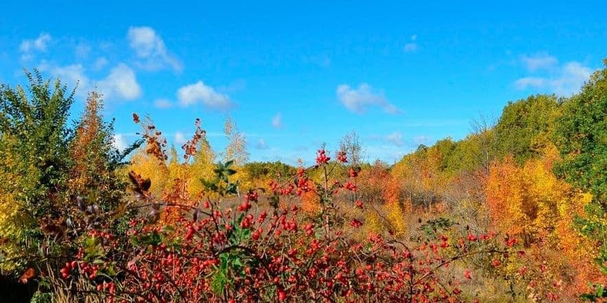 Основное изображение для события Выставка «Осенние зарисовки»