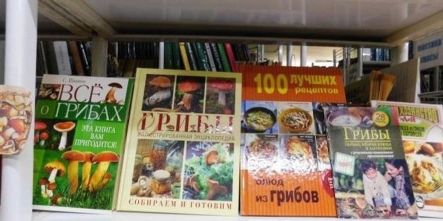 Основное изображение для события Книжная выставка «Будьте ловки на заготовки»