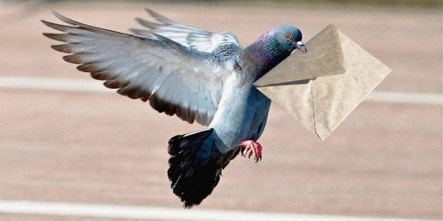Основное изображение для события Информационный час: «Почтовый голубь»