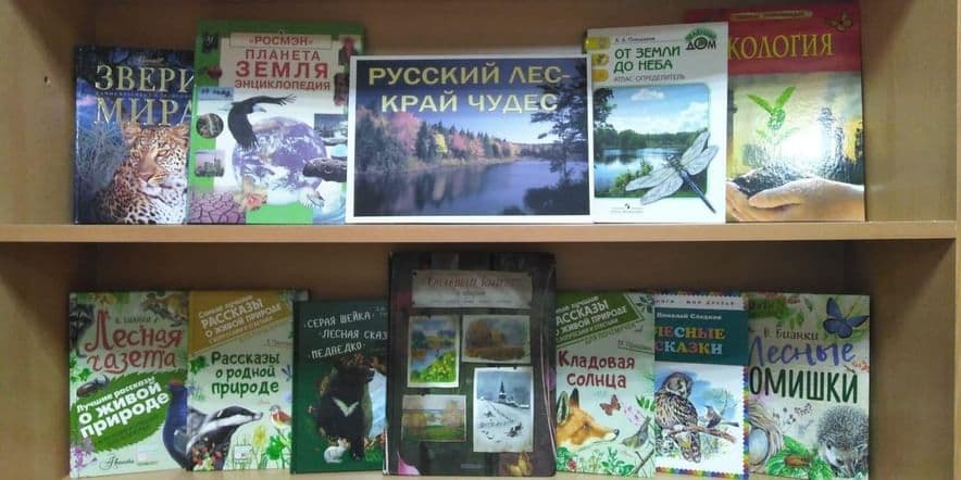 Основное изображение для события Книжная выставка «Русский лес — край чудес»