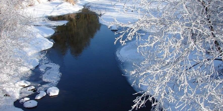 Основное изображение для события Пробуждение весны