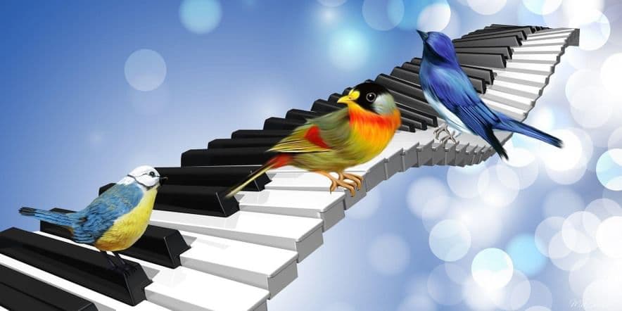Основное изображение для события Урок-путешествие «Сорока, кукушка и прочие птицы в музыке»