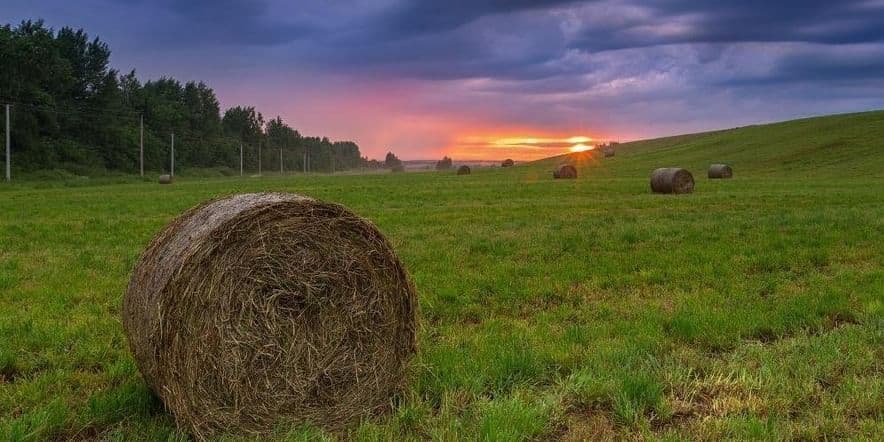 Основное изображение для события Экскурсия «Природа родного края»