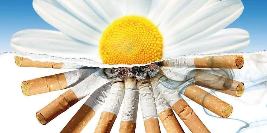 Основное изображение для события День здоровья «Курить — здоровью вредить»