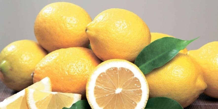 Основное изображение для события «Легенды и факты: 31 марта — день апельсинов и лимонов
