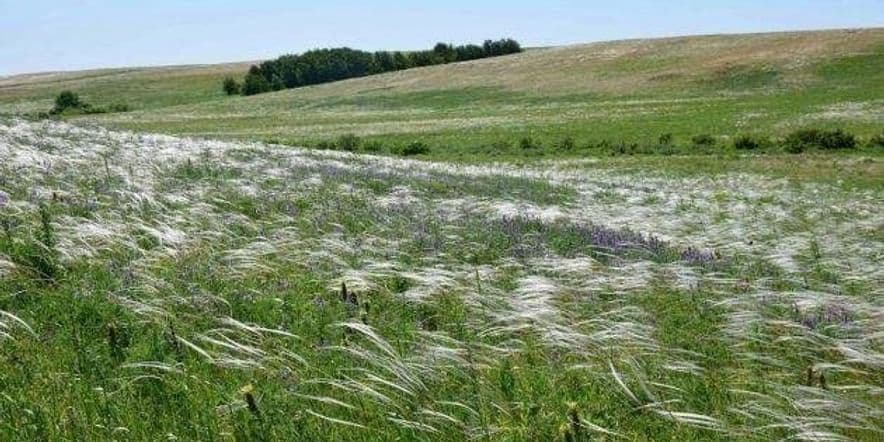 Основное изображение для события Программа «Легенды малой родины»