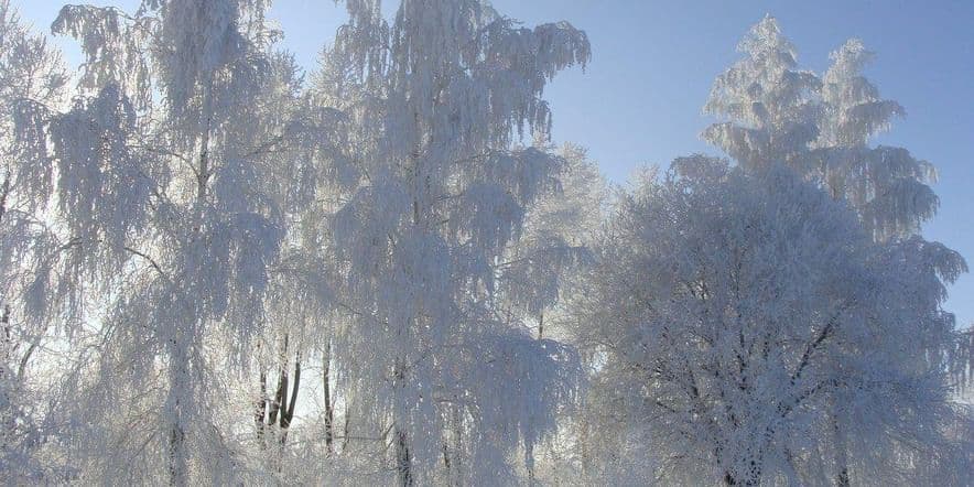 Основное изображение для события «Зимние зарисовки»