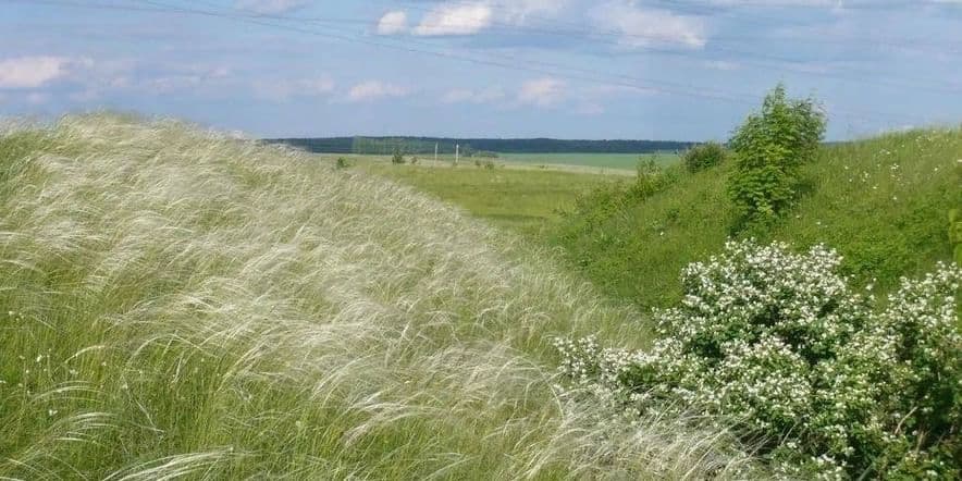 Основное изображение для события Мастер-класс «Травы земли Кунгурской»