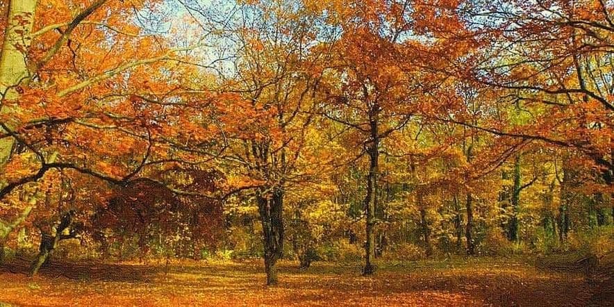 Основное изображение для события Викторина«Сказки осеннего леса»