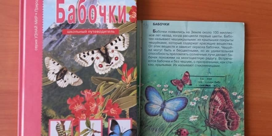 Основное изображение для события «Бабочка»