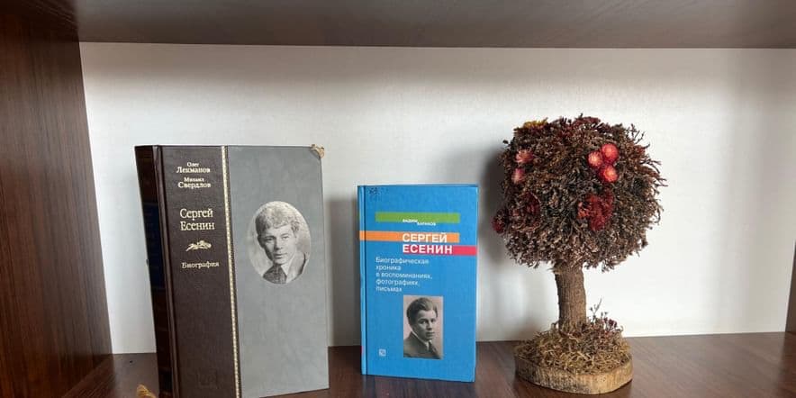 Основное изображение для события Поэтический калейдоскоп: «Откроем для себя есенинские строки» посвященный Есенинскому дню поэзии