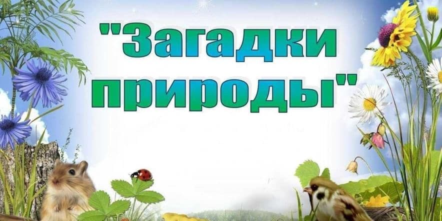 Основное изображение для события Краеведческий час «Загадки природы родного края».