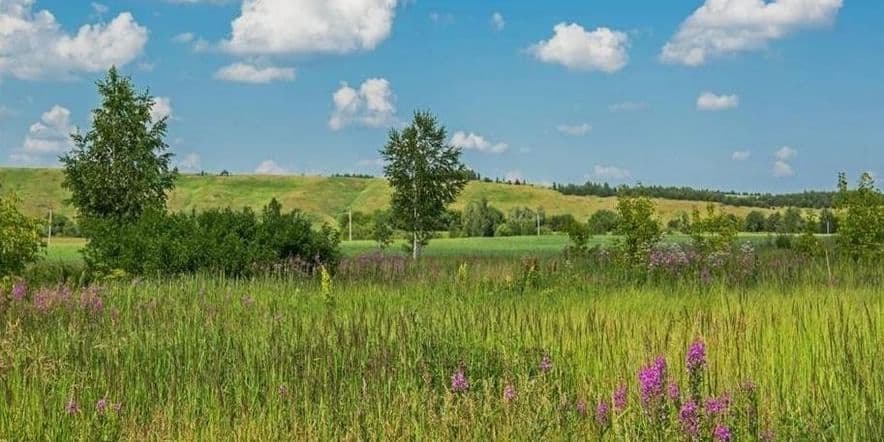 Основное изображение для события Программа «Мой край родной»