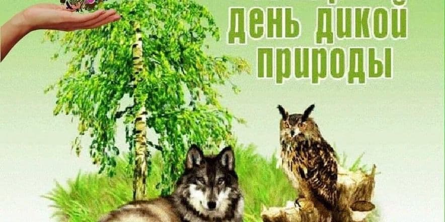 Основное изображение для события Экологический час «Мир дикой природы»