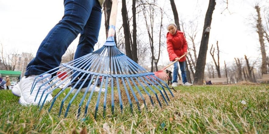 Основное изображение для события «Всемирный день чистоты»